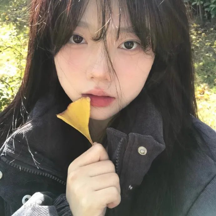 圣诞老人征婚